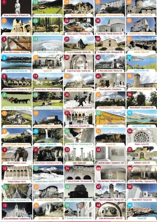 Bellavista B&B Roccavivara Dış mekan fotoğraf